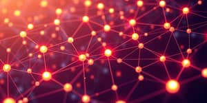 El Rol de los Validadores en las Redes de Prueba de Participación